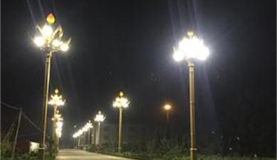 How do solar street light manufacturers occupy a dominant position in the market