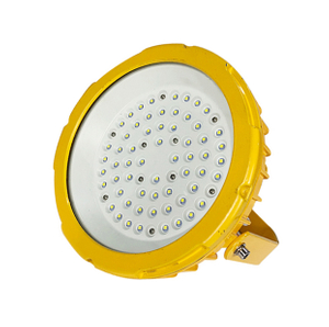 Explosion Proof Light